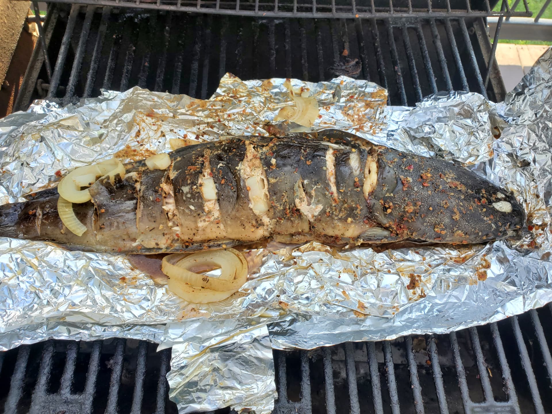 Fisherman's Catch